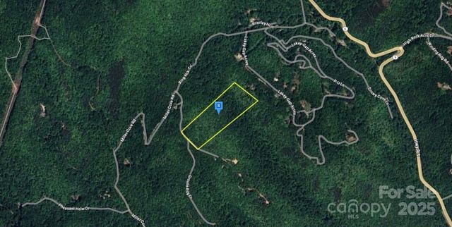 215 Miller Cove Road, Black Mountain, NC 28711
