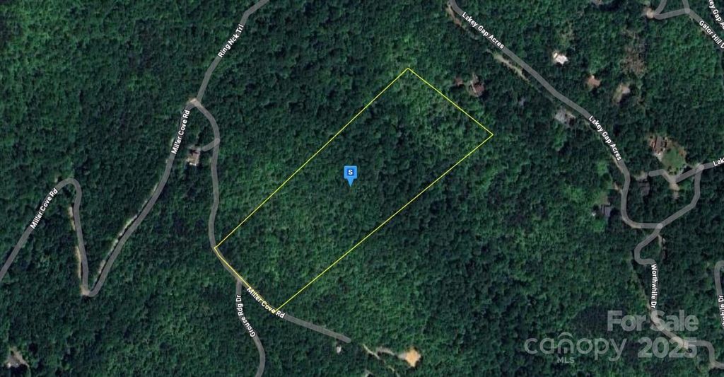 215 Miller Cove Road, Black Mountain, NC 28711