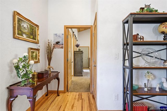 705 Gold Flake Terrace, Bailey, CO 80421