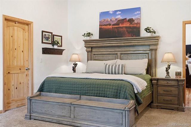 705 Gold Flake Terrace, Bailey, CO 80421