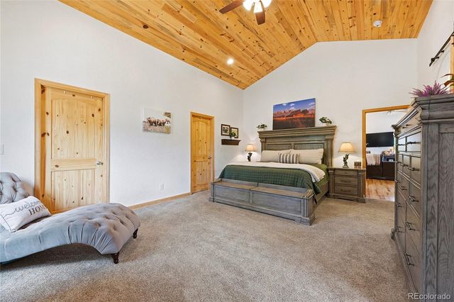 705 Gold Flake Terrace, Bailey, CO 80421