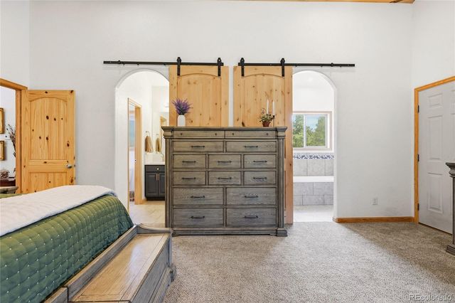 705 Gold Flake Terrace, Bailey, CO 80421