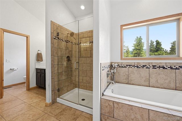705 Gold Flake Terrace, Bailey, CO 80421
