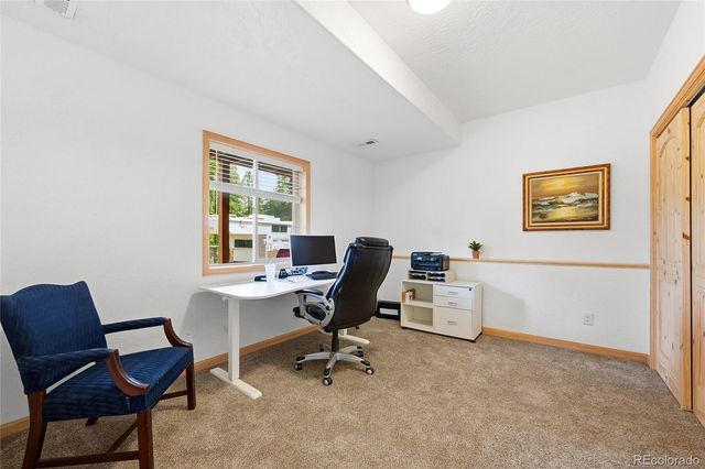 705 Gold Flake Terrace, Bailey, CO 80421
