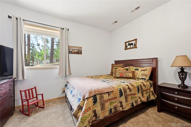 705 Gold Flake Terrace, Bailey, CO 80421