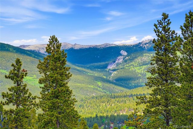 705 Gold Flake Terrace, Bailey, CO 80421