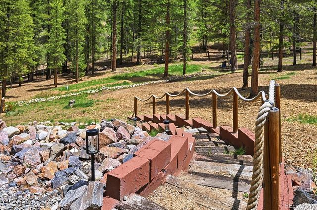 705 Gold Flake Terrace, Bailey, CO 80421