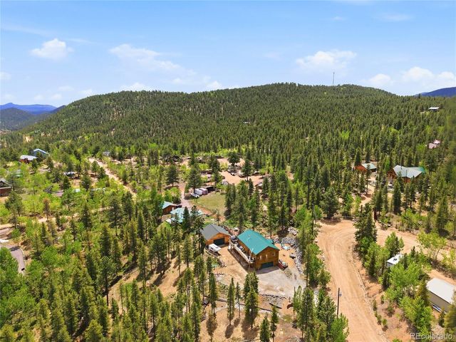705 Gold Flake Terrace, Bailey, CO 80421