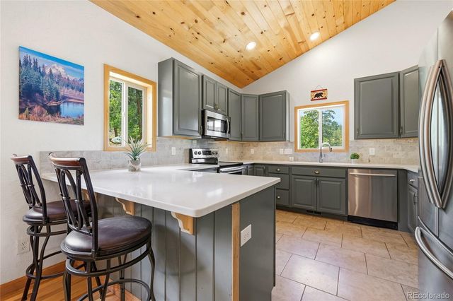 705 Gold Flake Terrace, Bailey, CO 80421