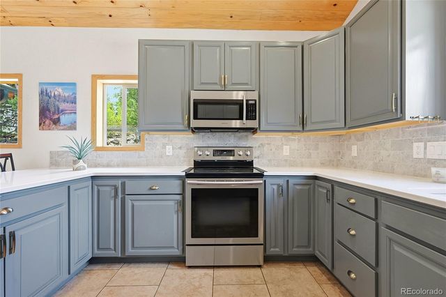 705 Gold Flake Terrace, Bailey, CO 80421