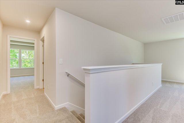 550 Old Charleston Road, Pelion, SC 29123