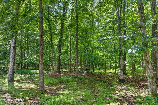 36 Druid Circle, Crossville, TN 38558