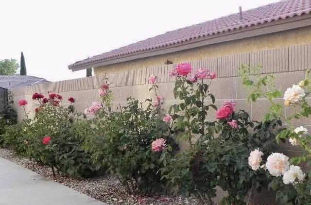 12515 Tamarisk, Victorville, CA 92395