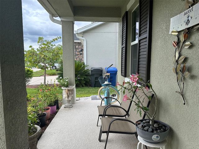 16317 HYDE MANOR. DRIVE, Tampa, FL 33647