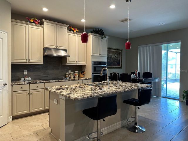 16317 HYDE MANOR. DRIVE, Tampa, FL 33647