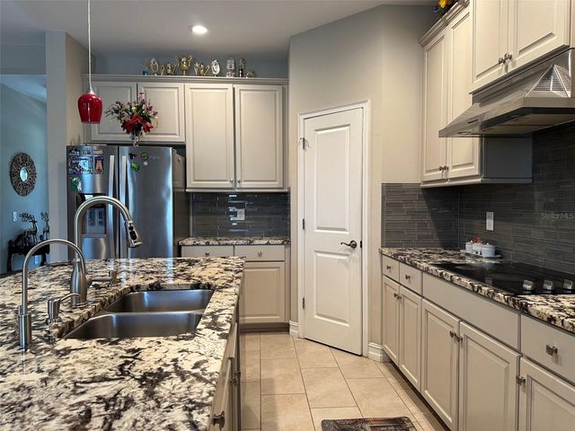 16317 HYDE MANOR. DRIVE, Tampa, FL 33647
