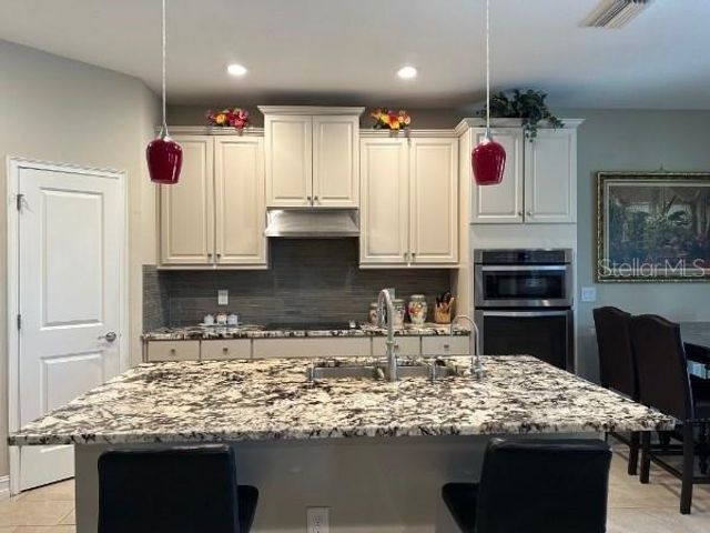 16317 HYDE MANOR. DRIVE, Tampa, FL 33647