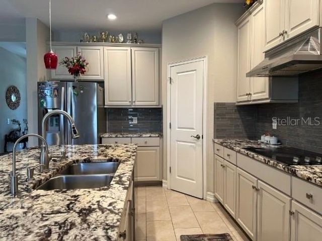 16317 HYDE MANOR. DRIVE, Tampa, FL 33647