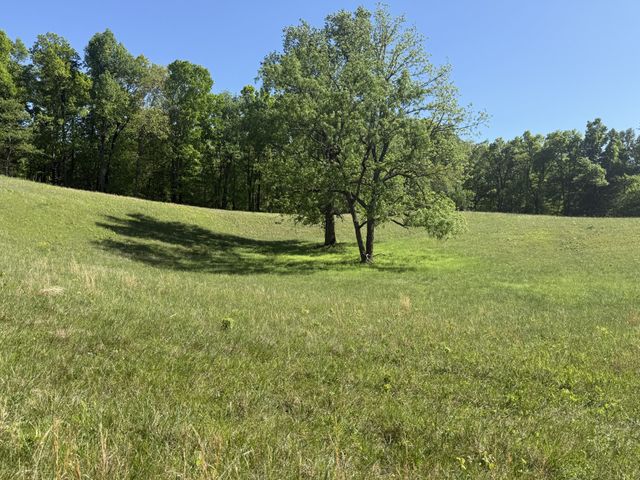 540 POWELL HOLLOW ROAD, Tullahoma, TN 37388
