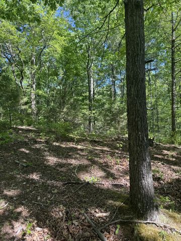 540 POWELL HOLLOW ROAD, Tullahoma, TN 37388
