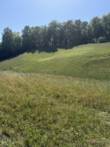 540 POWELL HOLLOW ROAD, Tullahoma, TN 37388