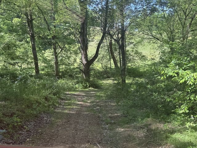 540 POWELL HOLLOW ROAD, Tullahoma, TN 37388