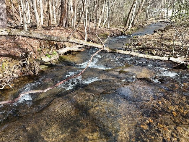 Tract 3 Whippoorwill Way, Blairsville, GA 30512