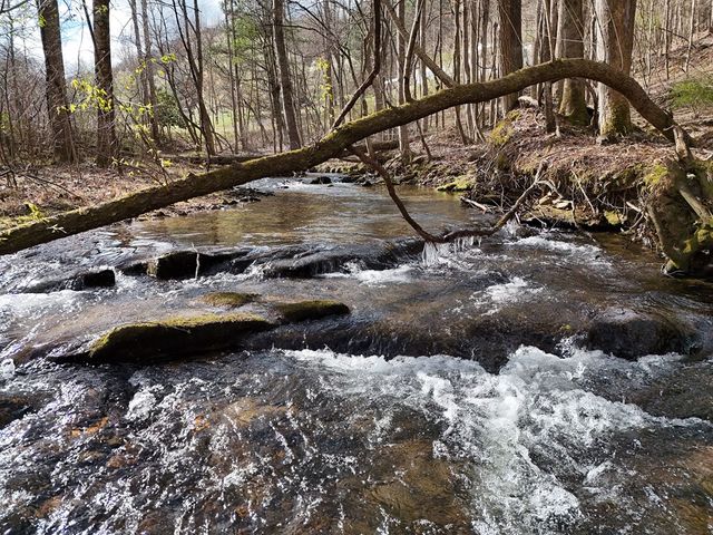 Tract 3 Whippoorwill Way, Blairsville, GA 30512