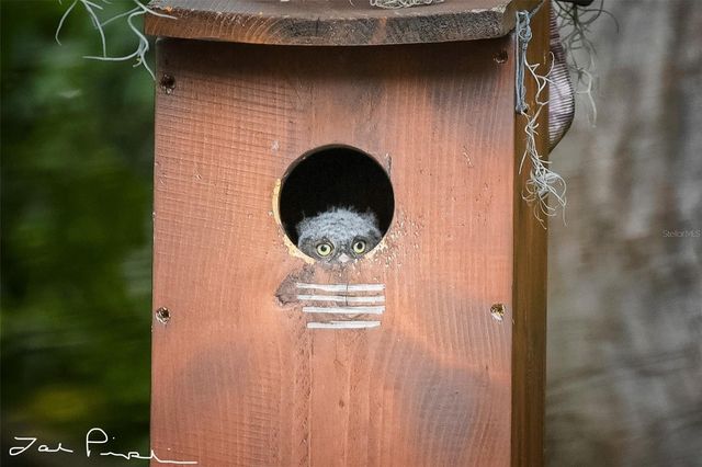 2156 LITTLE BROOK LANE, Clearwater, FL 33763