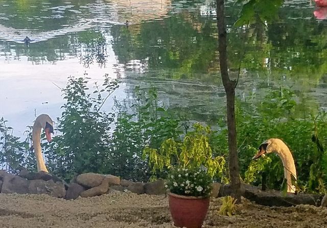 9 Oliver Rd, Weymouth, MA 02189