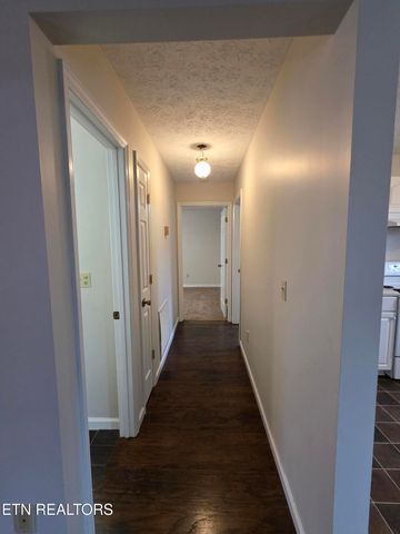 2474 New Lake Rd, Spring City, TN 37381