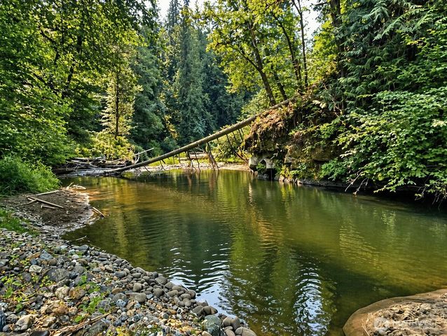 14886 Wilkeson Spiketon Road E, Wilkeson, WA 98396