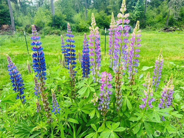 14886 Wilkeson Spiketon Road E, Wilkeson, WA 98396