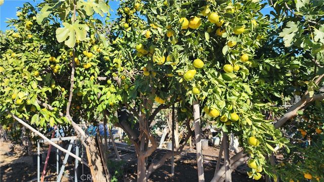 23729 Citrus Avenue, Perris, CA 92570