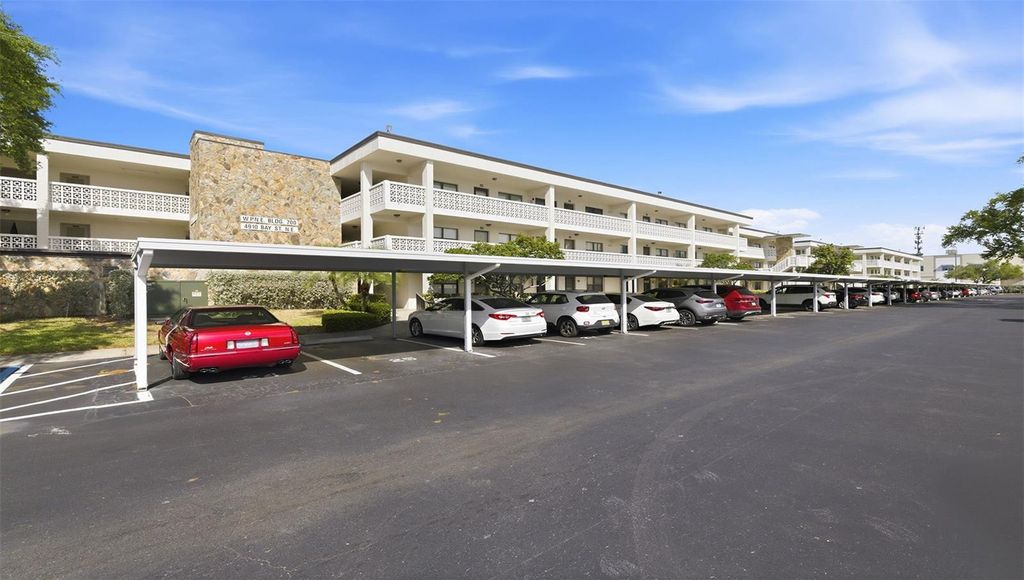 4910 BAY STREET NE 310, St Petersburg, FL 33703