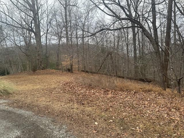 0 Ridge DR, Goodview, VA 24095