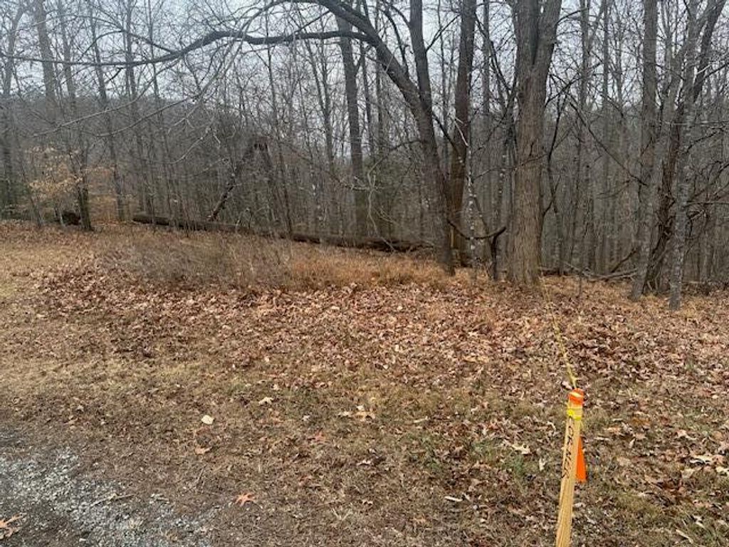 0 Ridge DR, Goodview, VA 24095