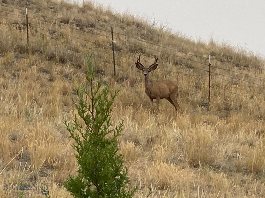 5835 Spaulding Bridge Road, Belgrade, MT 59714 photo 91