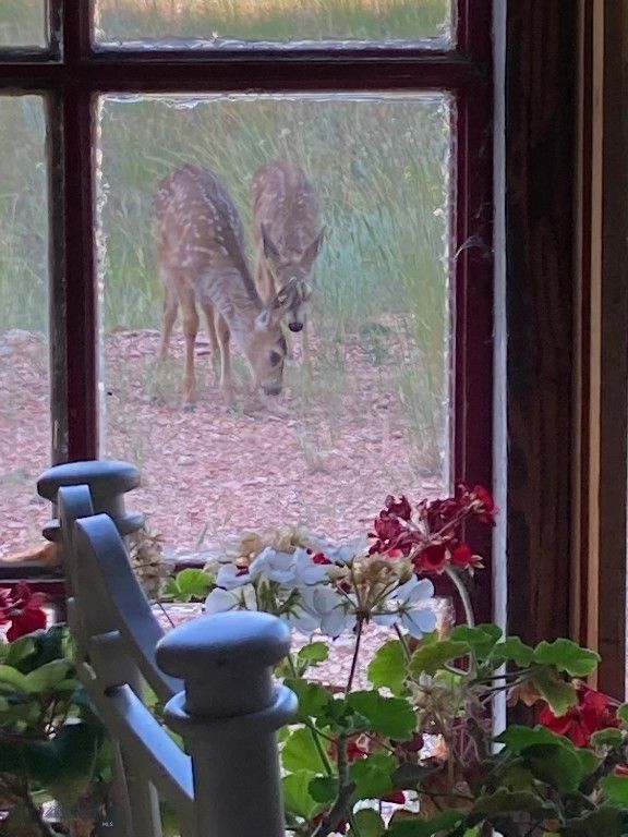 5835 Spaulding Bridge Road, Belgrade, MT 59714 photo 94