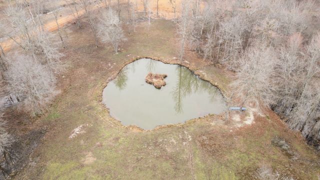 11957 HWY 79N, Buchanan, TN 38222