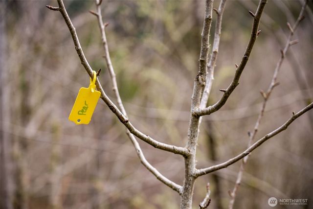 38220 NE Sunset Falls Road, Yacolt, WA 98675