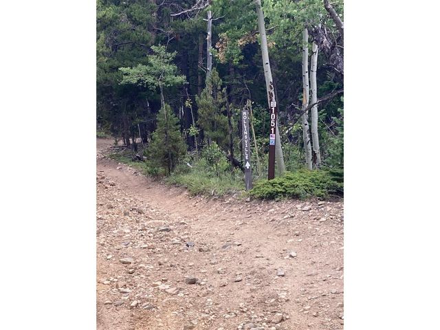 105 Forest Service Camp Rd, Rollinsville, CO 80474