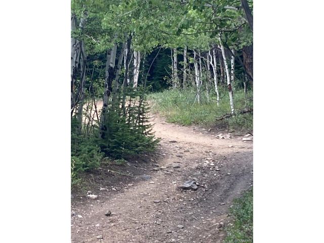 105 Forest Service Camp Rd, Rollinsville, CO 80474