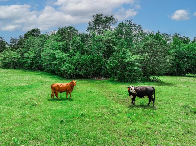 TBD VZ County Road 3706, Edgewood, TX 75117