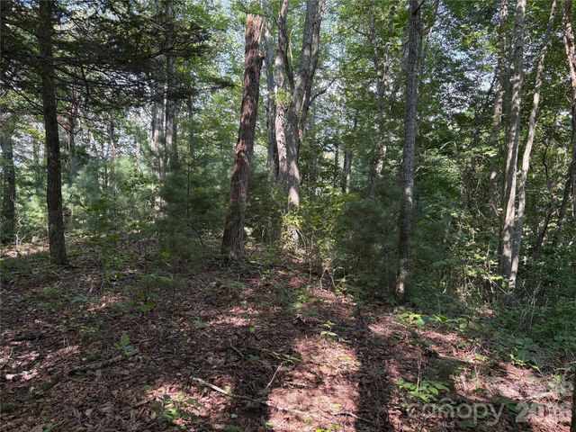 00 Early Frost Place 98, Waynesville, NC 28785