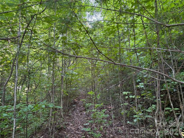 00 Early Frost Place 98, Waynesville, NC 28785