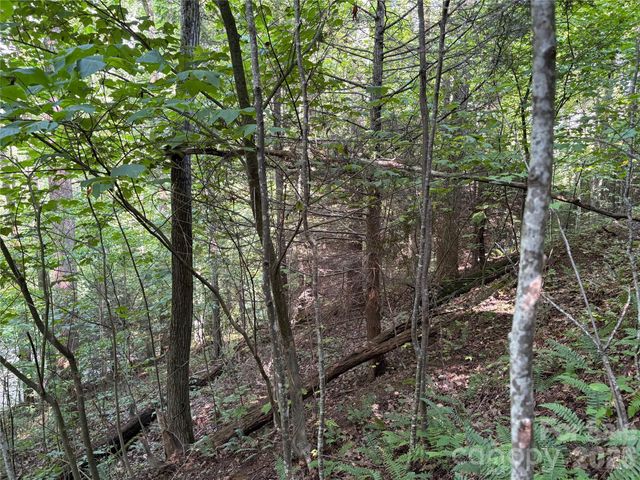 00 Early Frost Place 98, Waynesville, NC 28785