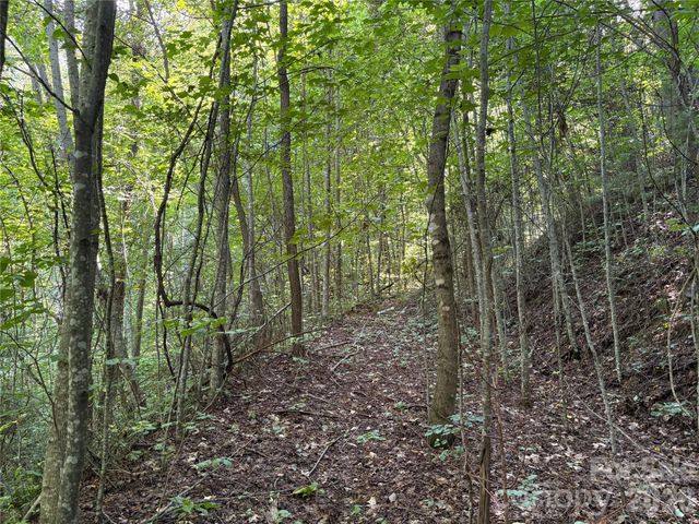 00 Early Frost Place 98, Waynesville, NC 28785