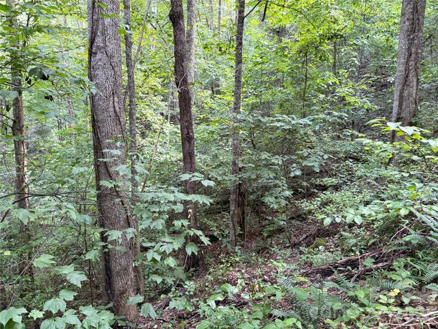 00 Early Frost Place 98, Waynesville, NC 28785