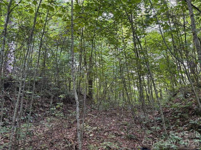 00 Early Frost Place 98, Waynesville, NC 28785